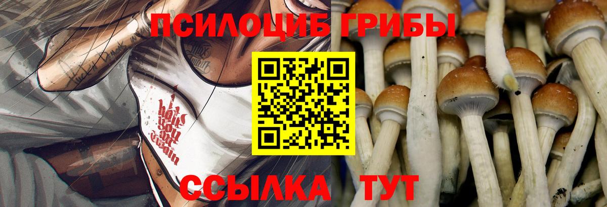 Псилоцибиновые грибы GOLDEN TEACHER  Вход с VPN  Снежинск 