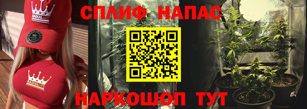 Марихуана сатива Снежинск